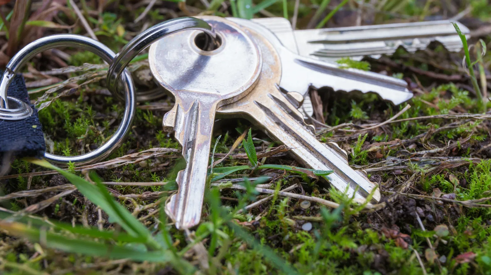 Что делать если потерял ключи от квартиры или дома: подробное руководство